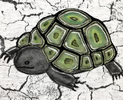 Applikationsvorlage Schildkröte
