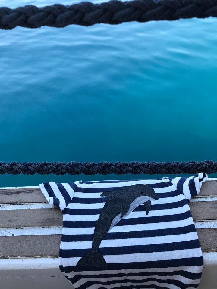 Applikationsvorlage Delfin